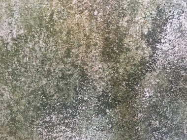 Kopyalama alanı için beyaz duvar dokusu arkaplanı