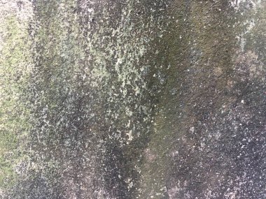 Kopyalama alanı için beyaz duvar dokusu arkaplanı