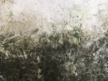 Arkaplan için eski somut doku