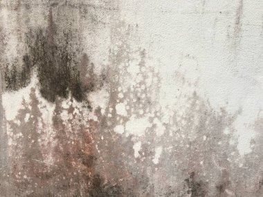 Kopya alanı için kirli beton duvar dokusu