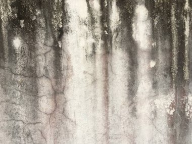 Kopya alanı için kirli beton duvar dokusu