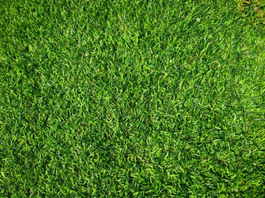 Yeşil çim futbol sahası arka planının yakın görüntüsü. Çalışma ve tasarım için duvar kağıdı.