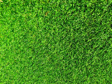 Yeşil çim futbol sahası arka planının yakın görüntüsü. Çalışma ve tasarım için duvar kağıdı.