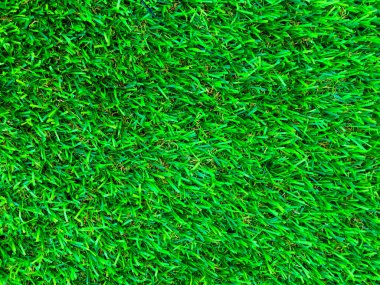 Arka planda golf sahasından güzel yeşil çimen desenleri. Çalışma ve tasarım için boşluk kopyala, Üst Görünüm