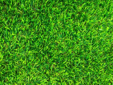 Arka planda golf sahasından güzel yeşil çimen desenleri. Çalışma ve tasarım için boşluk kopyala, Üst Görünüm