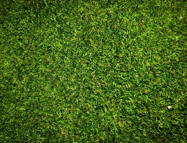 Closeup View Green Grass Soccer Field Background Wallpaper Work Design — Stock Photo, Image