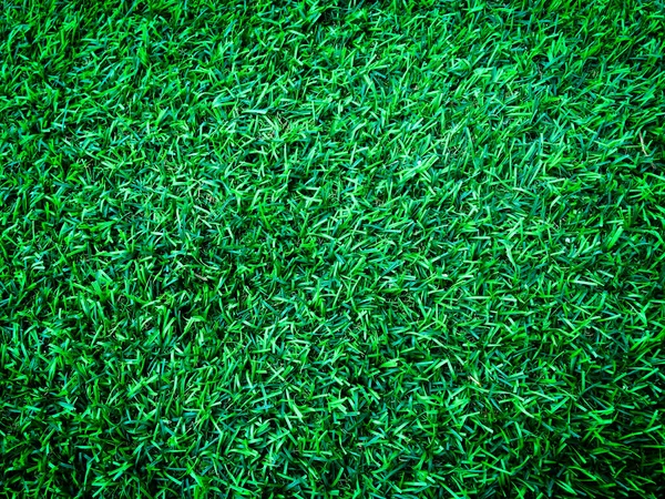 緑の芝生サッカー場の背景のクローズアップビュー 仕事とデザインのための壁紙 — ストック写真