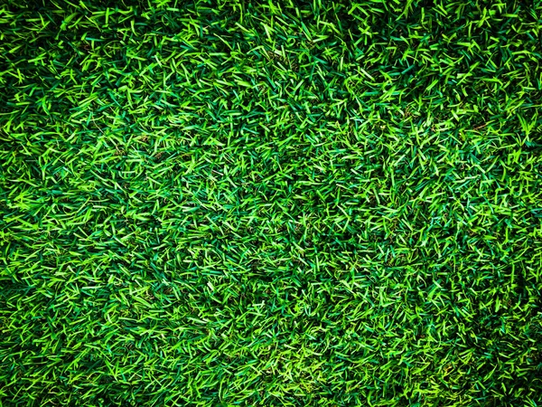 Vue Rapprochée Fond Terrain Soccer Herbes Vertes Fond Écran Pour — Photo