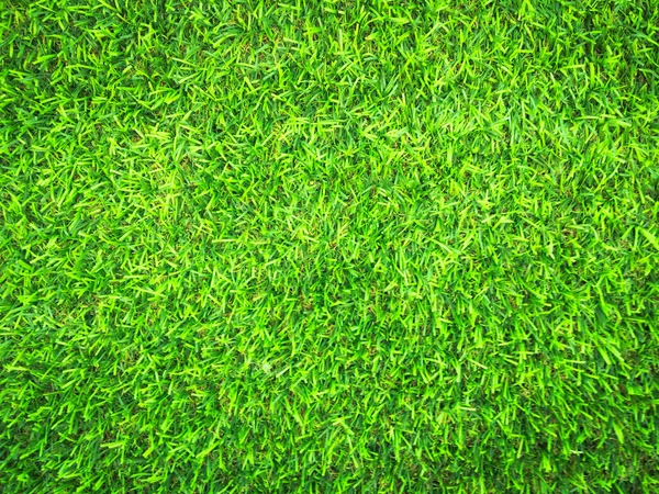 Beautiful green grass pattern from golf course for background. Copy space for work and design, Top view