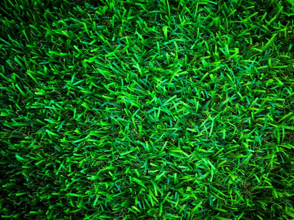 Beautiful Green Grass Pattern Golf Course Background Copy Space Work — Stock Photo, Image