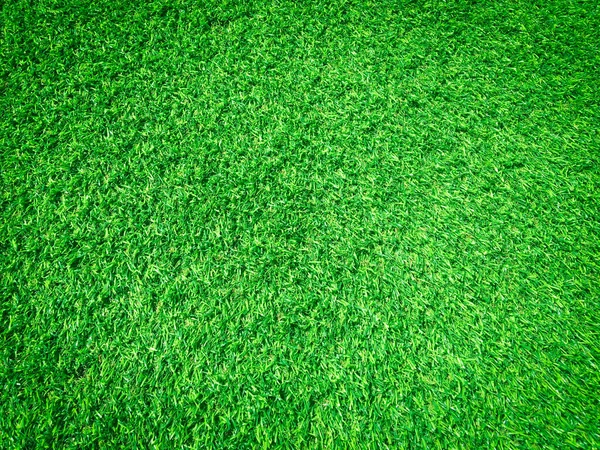 Belo Padrão Grama Verde Campo Golfe Para Fundo Espaço Cópia — Fotografia de Stock