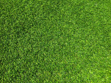 Tasarım için kopyalama alanı olan yeşil çimen dokusu arka planı, Üst görünüm