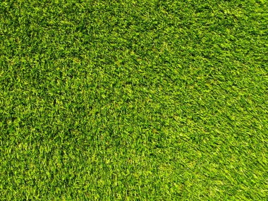 Modern yeşil çimen dokusu. Çalışma ve tasarım için duvar kağıdı.