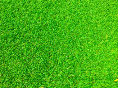 Modern yeşil çimen dokusu. Çalışma ve tasarım için duvar kağıdı.