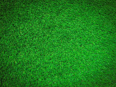 Tasarım için doğa yeşil çimen dokusu. Eko kavramı.