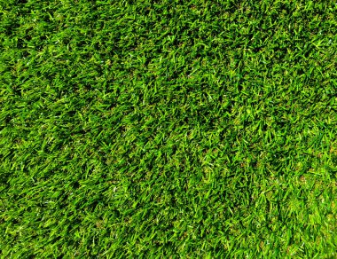 Tasarım için doğa yeşil çimen dokusu. Eko kavramı.