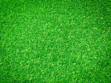 Tasarım için doğa yeşil çimen dokusu. Eko kavramı.