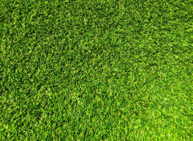 Tasarım için doğa yeşil çimen dokusu. Eko kavramı.