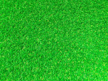 Yeşil çimen dokusu arka planının üst görüntüsü. Tasarım elementi. 