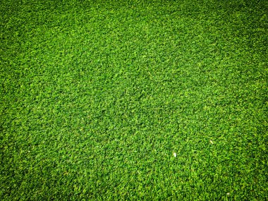 Yeşil çimen dokusu arka planının üst görüntüsü. Tasarım elementi. 