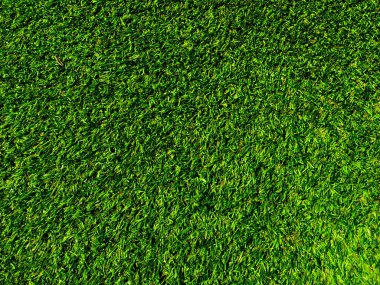 Yeşil çimen dokusu arka planının üst görüntüsü. Tasarım elementi. 