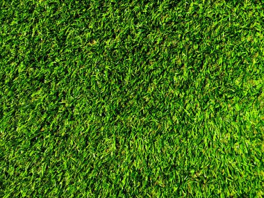 Yeşil çimen dokusu arka planının üst görüntüsü. Tasarım elementi. 