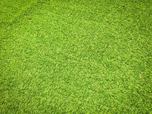 Modern Green Lawn Texture Background Wallpaper Work Design — Stock Photo, Image
