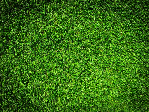 Nature Herbe Verte Texture Fond Pour Conception Concept Écologique — Photo