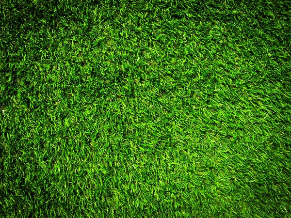 Fondo Textura Hierba Verde Natural Para Diseño Concepto Ecológico —  Fotos de Stock