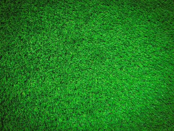 Natuur Groen Gras Textuur Achtergrond Voor Ontwerp Milieuconcept — Stockfoto