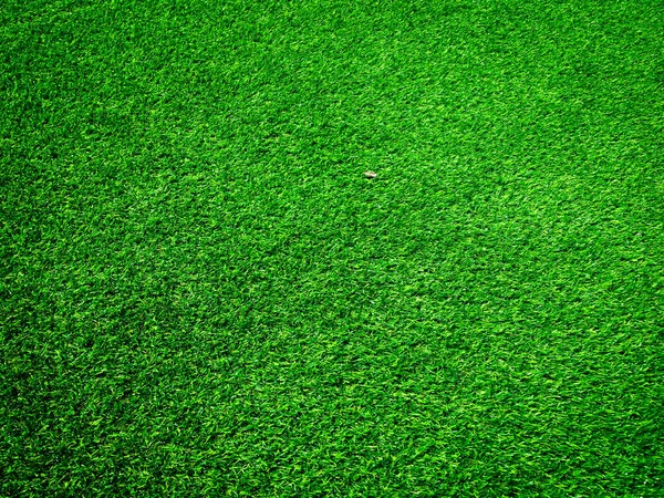 Natura Verde Erba Texture Sfondo Design Ecoconcetto — Foto Stock