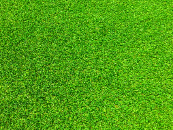 Příroda Zelená Tráva Textura Pozadí Pro Design Eko Koncept — Stock fotografie