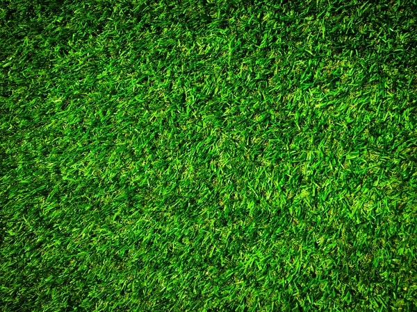 Tasarım için doğa yeşil çimen dokusu. Eko kavramı.