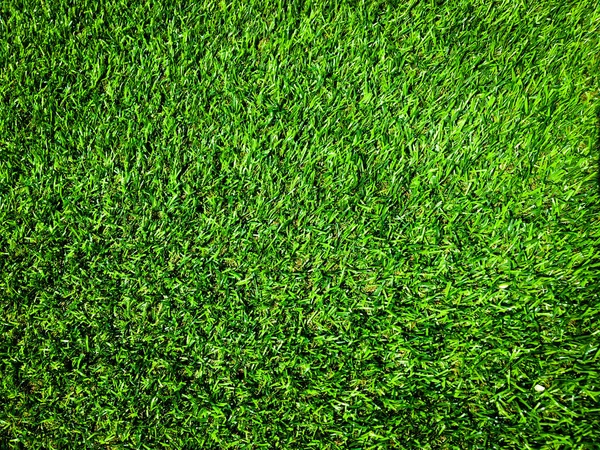 Fondo Textura Hierba Verde Natural Para Diseño Concepto Ecológico —  Fotos de Stock