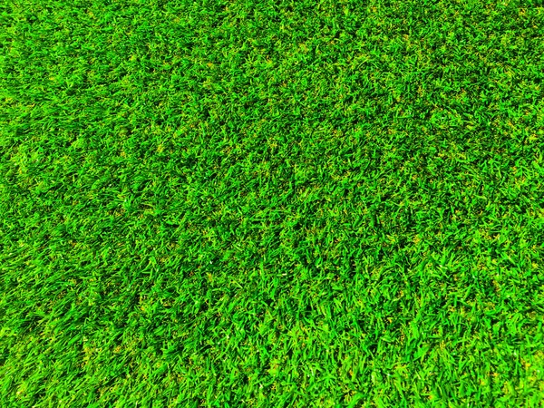 Fondo Textura Hierba Verde Natural Para Diseño Concepto Ecológico — Foto de Stock