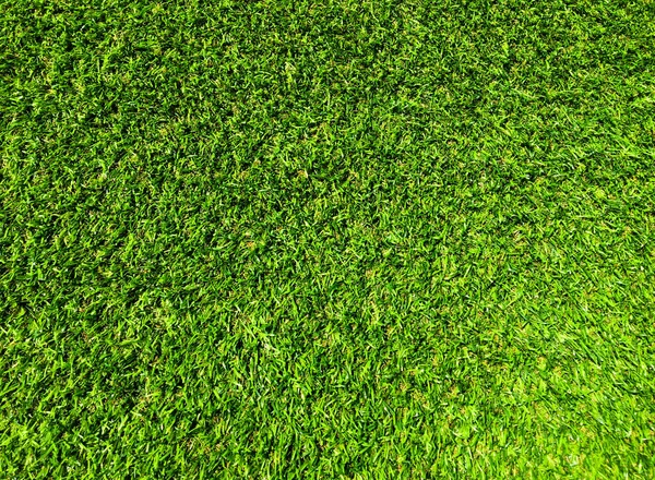 Φυσικό Πράσινο Γρασίδι Υφή Φόντο Για Σχεδιασμό Οικολογική Έννοια — Φωτογραφία Αρχείου