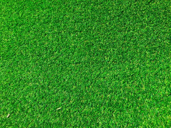 Draufsicht Auf Das Grüne Gras Textur Hintergrund Gestaltungselement — Stockfoto