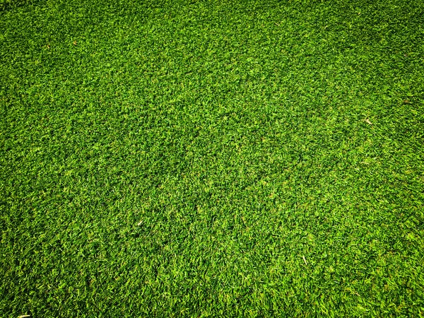 잔디의 배경의 설계의 — 스톡 사진