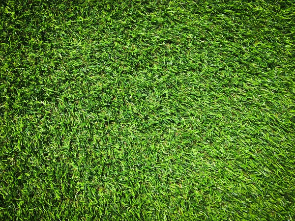 Modern Green Lawn Texture Background Wallpaper Work Design Stock Picture