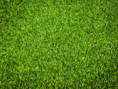 Yeşil çim futbol sahası arka planının yakın görüntüsü. Çalışma ve tasarım için duvar kağıdı.