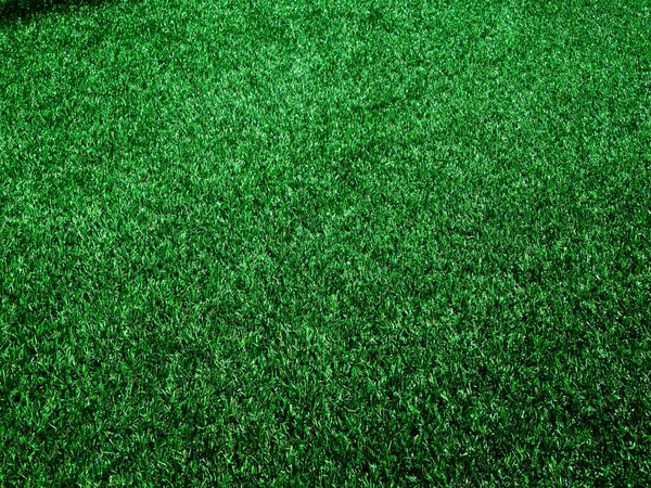 Detailní Pohled Zelenou Trávu Fotbalové Hřiště Pozadí Tapeta Pro Práci — Stock fotografie