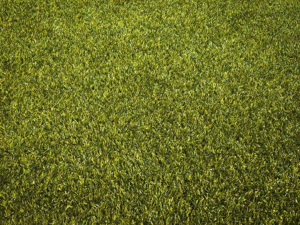 Widok Bliska Zielona Trawa Boisko Piłki Nożnej Tło Tapeta Pracy — Zdjęcie stockowe