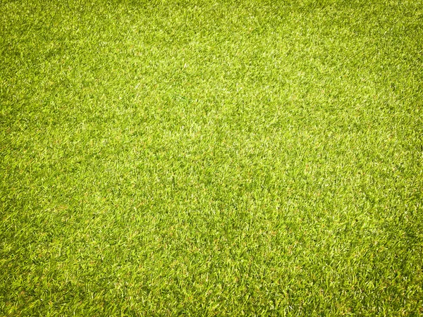 Draufsicht Auf Das Grüne Gras Textur Hintergrund Gestaltungselement — Stockfoto