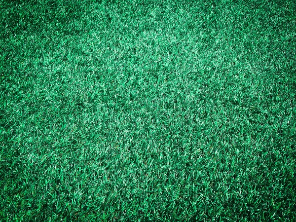 Draufsicht Auf Das Grüne Gras Textur Hintergrund Gestaltungselement — Stockfoto