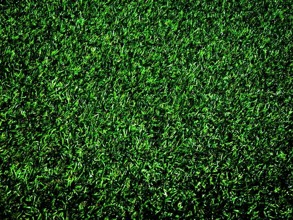 Vista Superior Fundo Textura Grama Verde Elemento Projeto — Fotografia de Stock