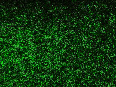 Yeşil çimen dokusu arka planının üst görüntüsü. Tasarım elementi.