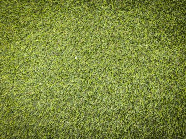 Tasarım için doğa yeşil çimen dokusu. Eko kavramı.