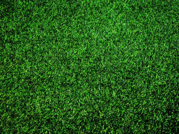 Top View Green Grass Texture Background Element Design — Stock Photo, Image