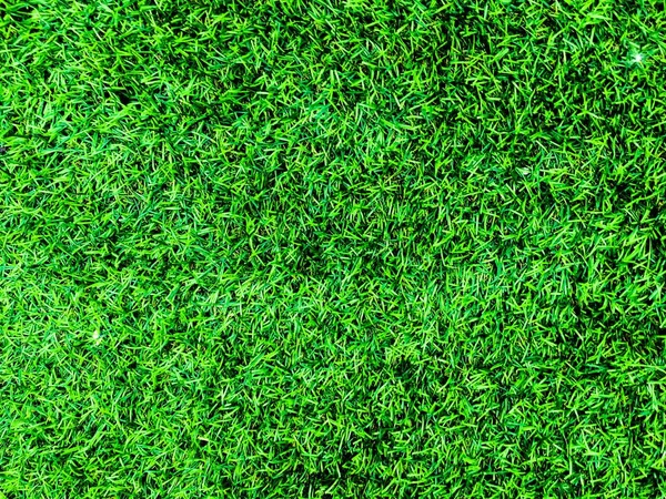 Bovenaanzicht Van Groene Gras Textuur Achtergrond Onderdeel Van Het Ontwerp — Stockfoto