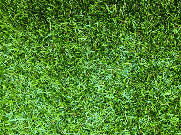 Vista Superior Fondo Textura Hierba Verde Elemento Diseño —  Fotos de Stock